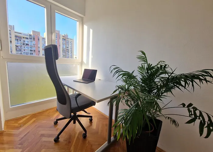 Luminous Apartment