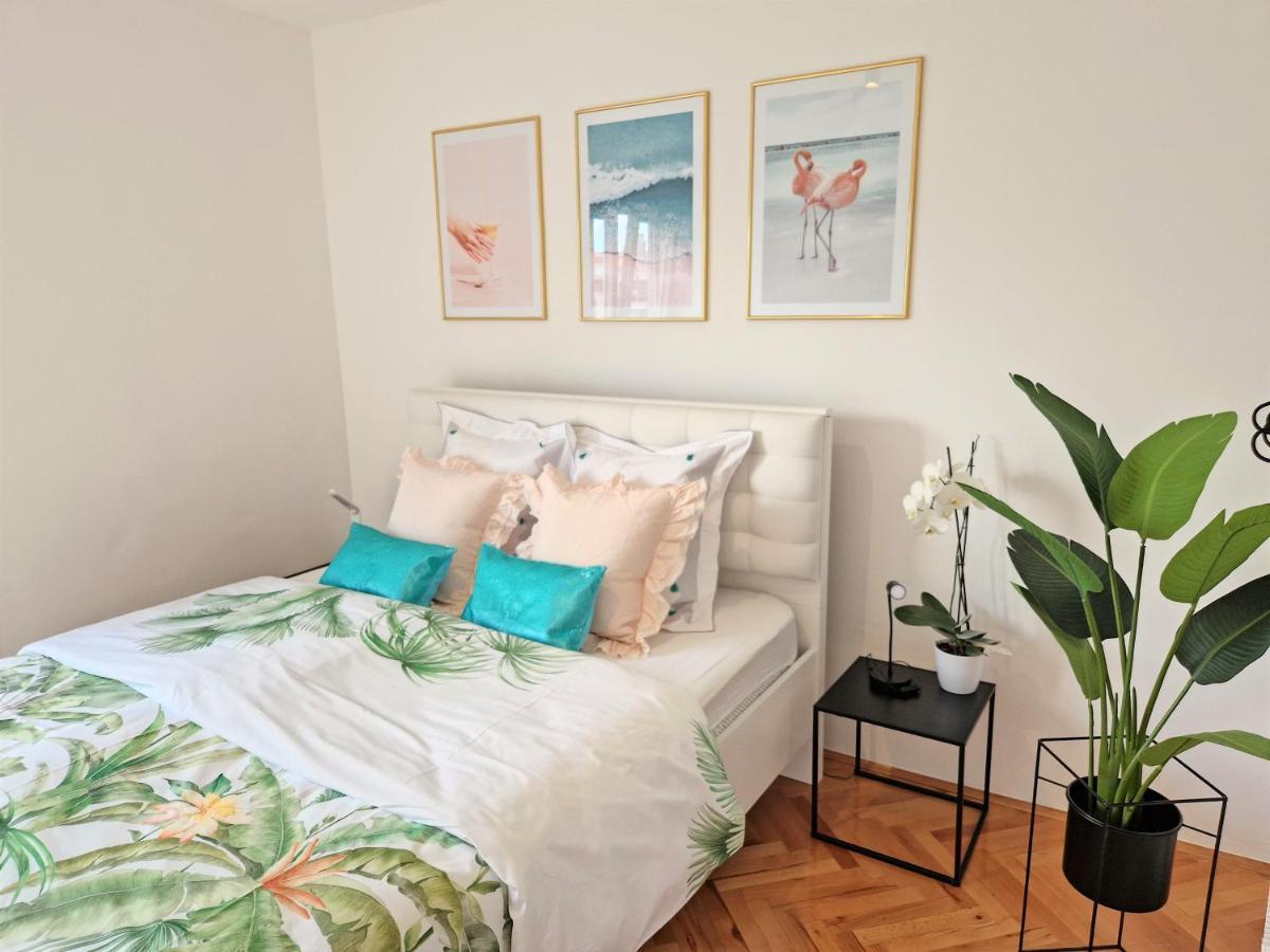 Apartment Luminous