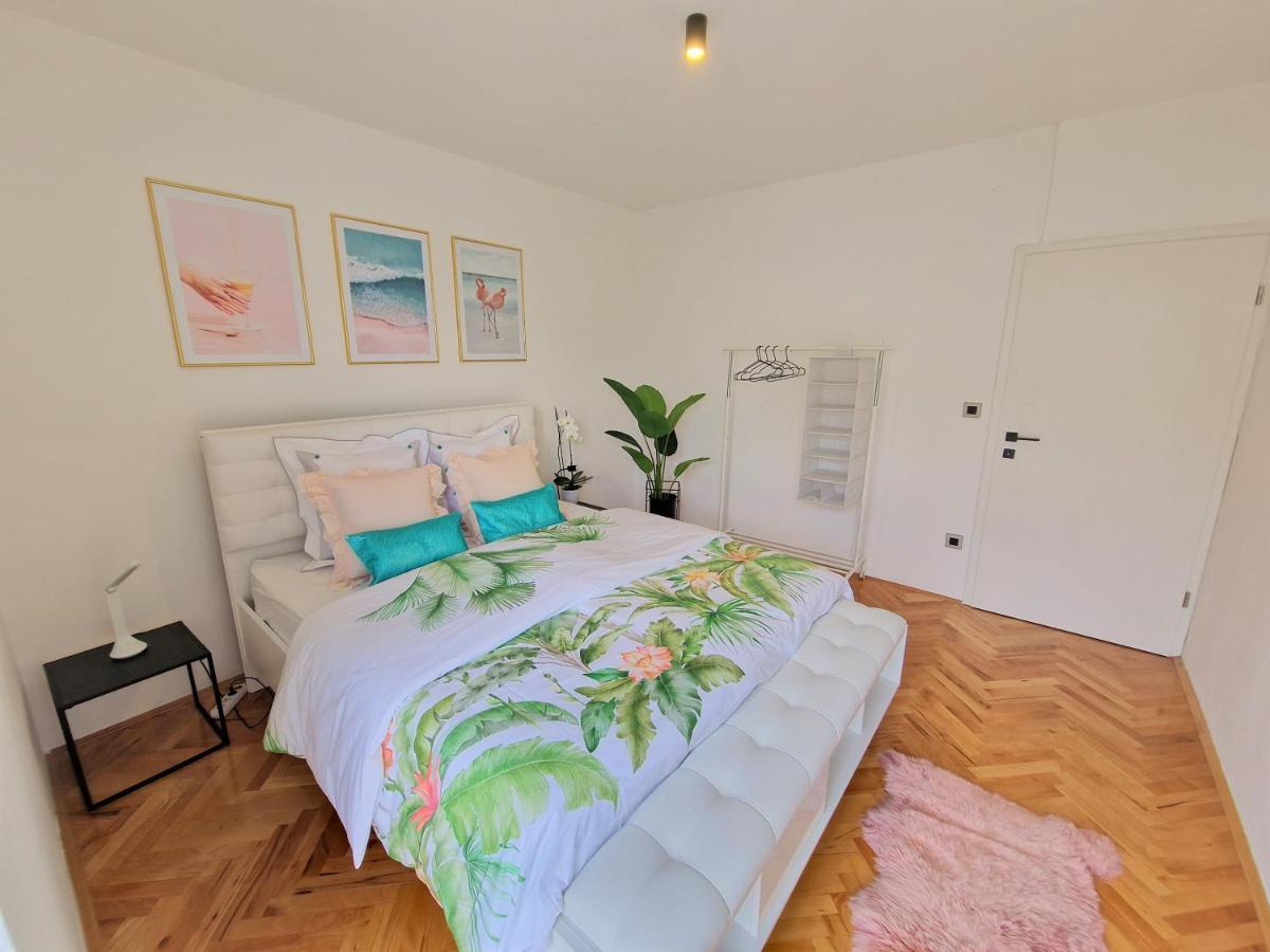 Luminous Apartment