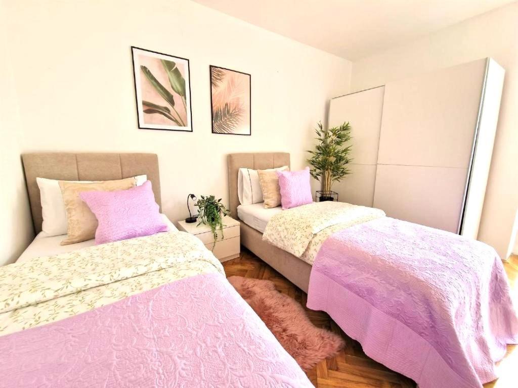 Luminous Apartment Split