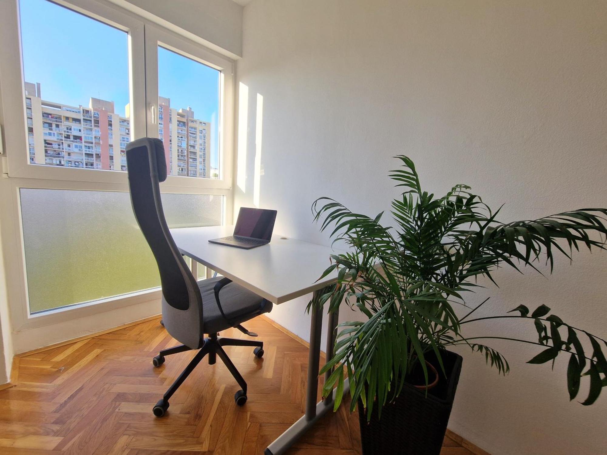Luminous Apartment